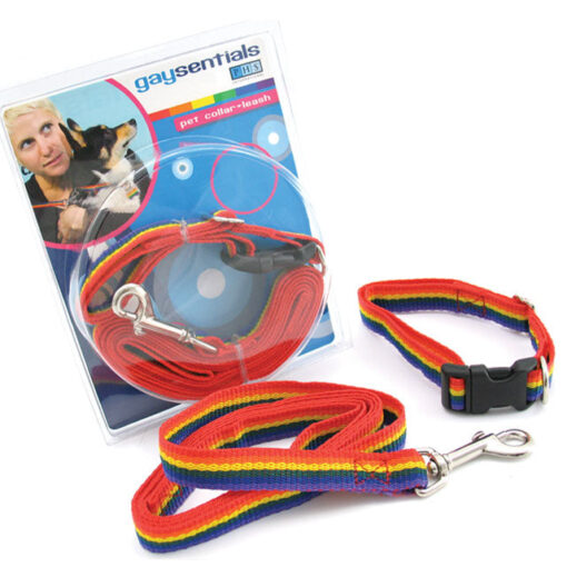 GS Pet Combo Leash-Collar (Medium)