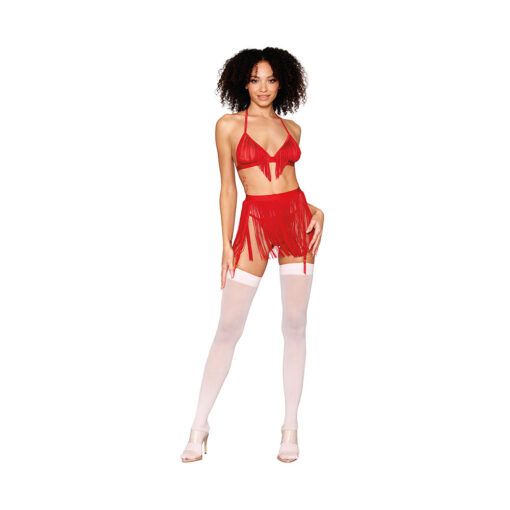 Dreamgirl Chainette Fringe Bralette, Garter Belt, and G-String Set Ruby O-S