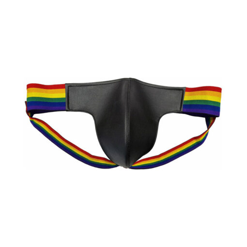 Rouge Leather Multicoloured Pride Jocks Medium